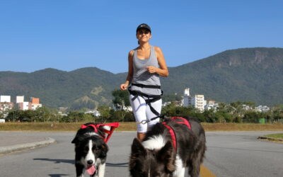 EL CRECIMIENTO EN LOS CACHORROS Y EL DEPORTE
